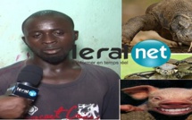 EXCLUSIF - HLM LAS PALMAS: Nouvelle révélation: "Dou dragon, dou yééw affaire bi mbamm khoukh la..." Selon le propriétaire de la maison