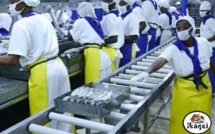 Mbour: Scandale à IKAGEL de Mballing: 150 employés renvoyés