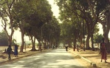 Passé Présent - Thiès, ville rebelle depuis 1988: Wade a sa «jeunesse malsaine»