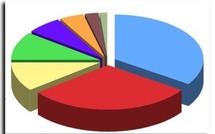 SONDAGE SUR LE NET Du bluff et de la manipulation