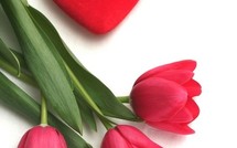 Saint-Valentin : Un patron de presse envoie le cadeau de sa maitresse à sa femme