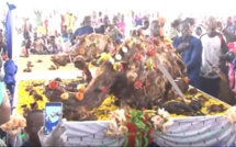 VIDEO - Exclusif Magal 2019 Gabou - Les Berndé de Sokhna Aïda Cheikh Bethio Thioune