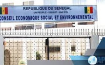 Le Conseil Économique, Social et Environnemental engage le débat sur le civisme