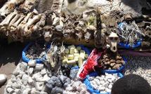 Sept redoutables féticheurs maliens débarquent au Sénégal pour contrer Macky Sall