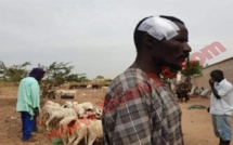 Braquage au foirail de Niassane: Près de 6 millions emportés, plusieurs éleveurs blessés