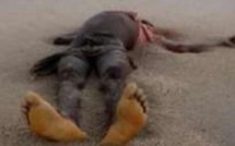 Découvertes macabres dans plusieurs endroits à Dakar, morts naturelles ou crimes rituels ?