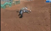 Best of crash 2010