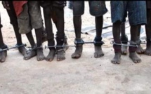 Affaire des talibés enchaînés: Seydi Gassama très remonté