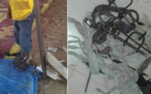 Cheikhouna Guèye, maître coranique: «Les enfants ont été menottés sur instruction de...»