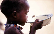 Avis conjoint sur la situation alimentaire et nutritionnelle au Sahel et en Afrique de l’Ouest