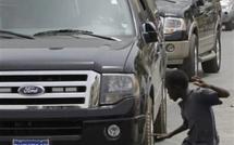 "Les libéraux goûteront aux embouteillages et aux galères"