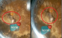 DU JAMAIS VU - "Thiéré Djinakh", le couscous à la souris: c'est ce que mangent les étudiants de l'université de Bambey !