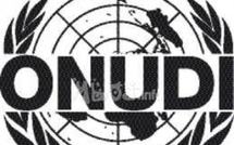 L’ONUDI s’est engagée à aider les PMA du continent (directeur)