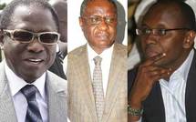 Pape Diop, Mamadou Seck, Moussa Sy en rébellion : Le Pds pourrit par la tête