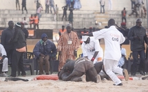 Balla Gaye 2 se métamorphose pour détrôner le roi