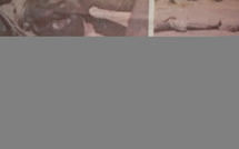 Affaire Béthio Thioune: Les cadavres livrent la vraie version