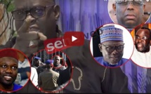 VIDEO - Me El Hadji Diouf tacle Sonko et accuse: "il y a des leaders financés par des terroristes pour..."