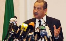 Le corps d’un ancien ministre libyen dans le Danube : noyage dans "intervention extérieure"