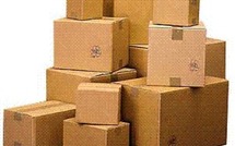 Vol de 30 cartons de poulpes dans un bateau : Quatre membres de l’équipage attraits à la barre