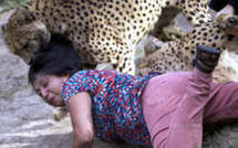 Une femme attaquée par des guépards, son mari prend des photos