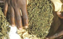 Tambacounda : L'OCRTIS arrête des trafiquants de drogue dont une vieille de 62 ans