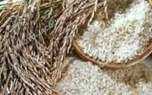Liberia: Les droits de douanes sur le riz suspendus