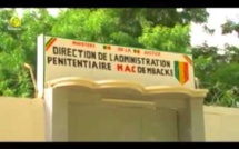 Mbacké : Un chauffeur condamné pour vol d’une tablette d’œufs…