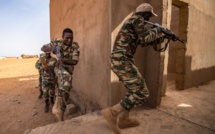 Le Niger annonce avoir «neutralisé» 120 terroristes dans la région de Tillabéri