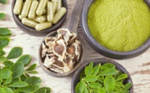 Les incroyables bienfaits des graines de moringa