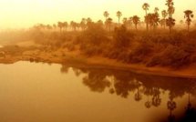 Kédougou : Cinq enfants disparus dans le Niokolo-Koba