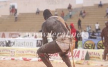 Battu par Thieck, Soulèye Dop perd une dent