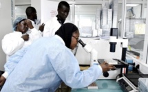 Coronavirus: Sa durée de vie révélée