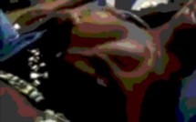 Nouveau scandale sexuel: Le surveillant général indélicat se fait filmer par la victime.