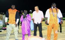 Pas de direct pour Bombardier/Tapha Tine