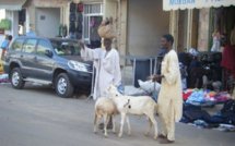 Chronique de DIA SECK - Dakar : capitale des ruralités urbaines