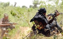 Macky Sall et les rebelles du Mdfc s'accordent sur une trêve.