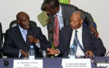 Conseil constitutionnel: Siricondy Diallo cède sa place à Malick Diop