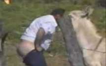 Video humour : 7 mn de fous rires