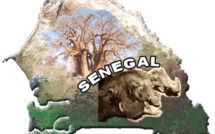 LE SENEGAL, UN PAYS PAUVRE ?