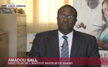 VIDEO- Dr. Amadou Sall : "L’Institut Pasteur de Dakar veut faciliter le dépistage du Covid-19 en Afrique"