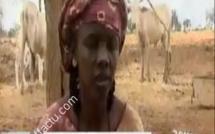 «Je veux que justice soit faite car ma fille a été violée puis tuée à Téssékéré » tels sont les mots lâchés par la mère de la victime