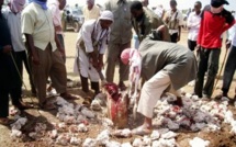 Nord-Mali : Un Couple Non Marié Lapidé à Mort Par Les Islamistes