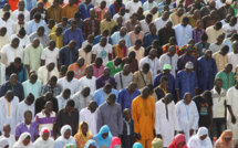 Un crapaud disperse la prière, l’imam introuvable