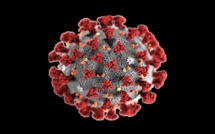 Le Coronavirus pèse lourd aussi au Ghana: un seul homme contamine plus de 500 personnes dans une usine de poisson