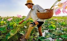 Les trente ans de Handicap International au Cambodge