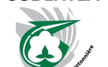 Vivres de soudure : Sodefitex offre 400 tonnes de riz aux producteurs