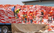 Louga: L’aide alimentaire destinée aux familles vulnérables commence à arriver (Vidéo)