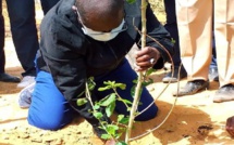 Journée internationale de sécurité biologique: Abdou Karim Sall choisit la forêt classée de Mbao comme cadre de célébration