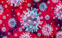 Bilan mortel du Coronavirus hors d’Afrique : 175.000 morts en Europe, 100.000 morts aux États-Unis, 41.000 décès en Amérique du Sud