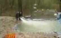 Un trou rempli d'eau dans la forêt